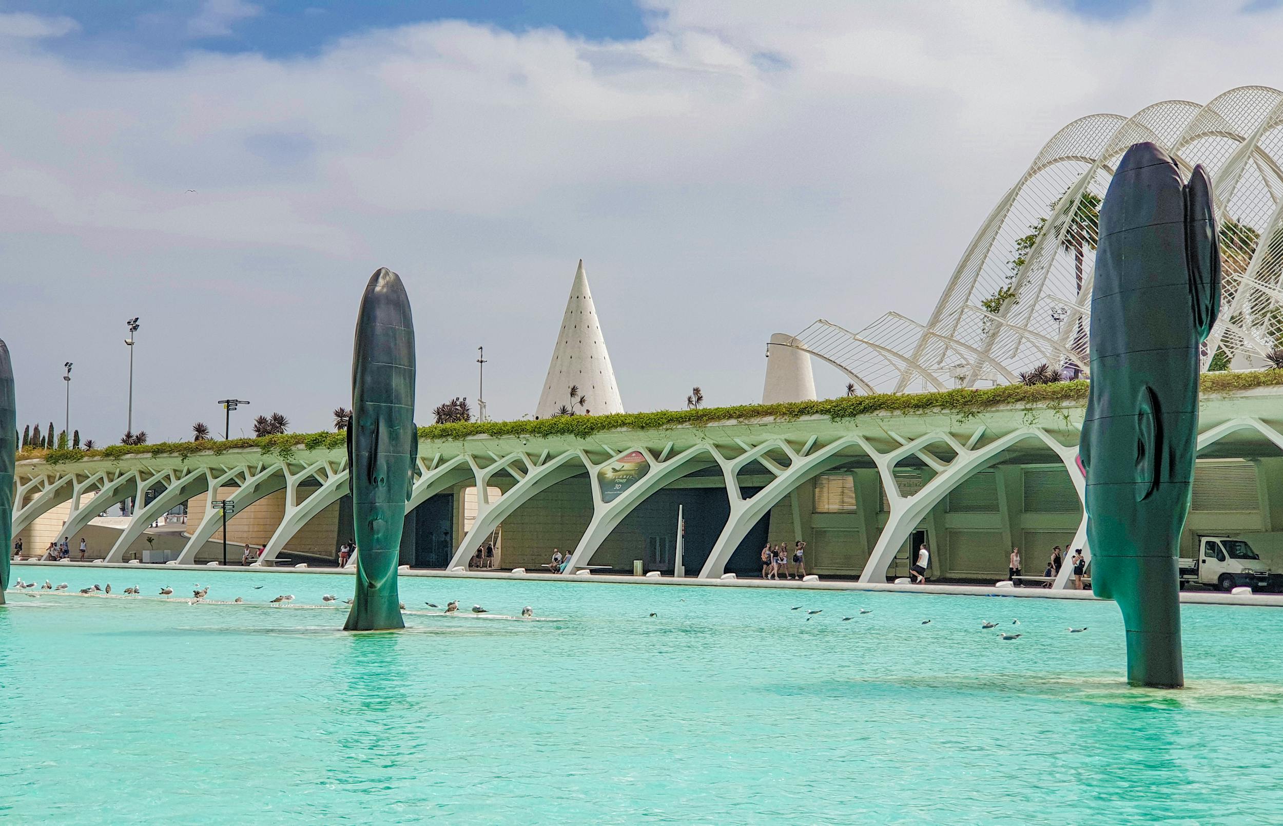 Helpful Tips for Valencia