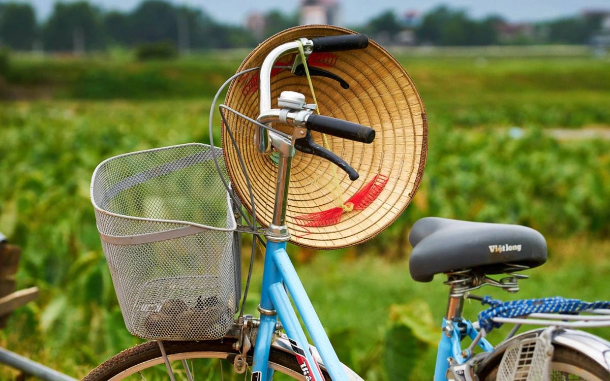 Cycling Tours in Hoi An
