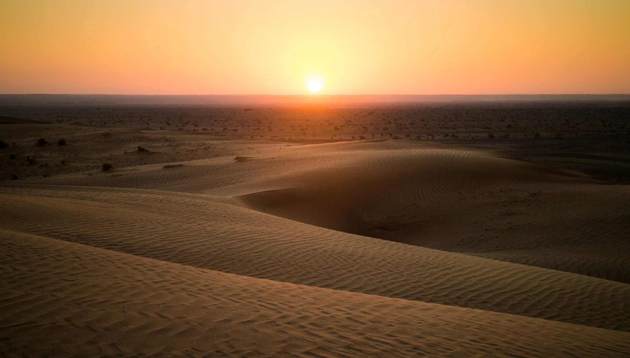 Al Wahiba Deserts