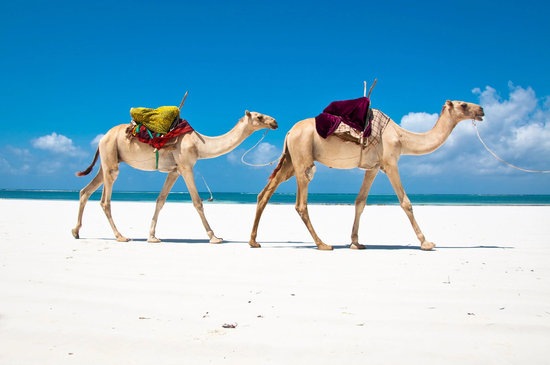 Top 10 Best Beaches in Africa