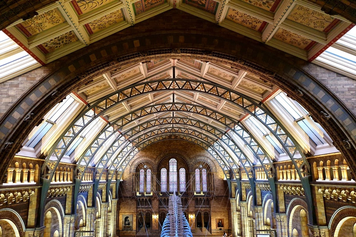 متحف التاريخ الطبيعي