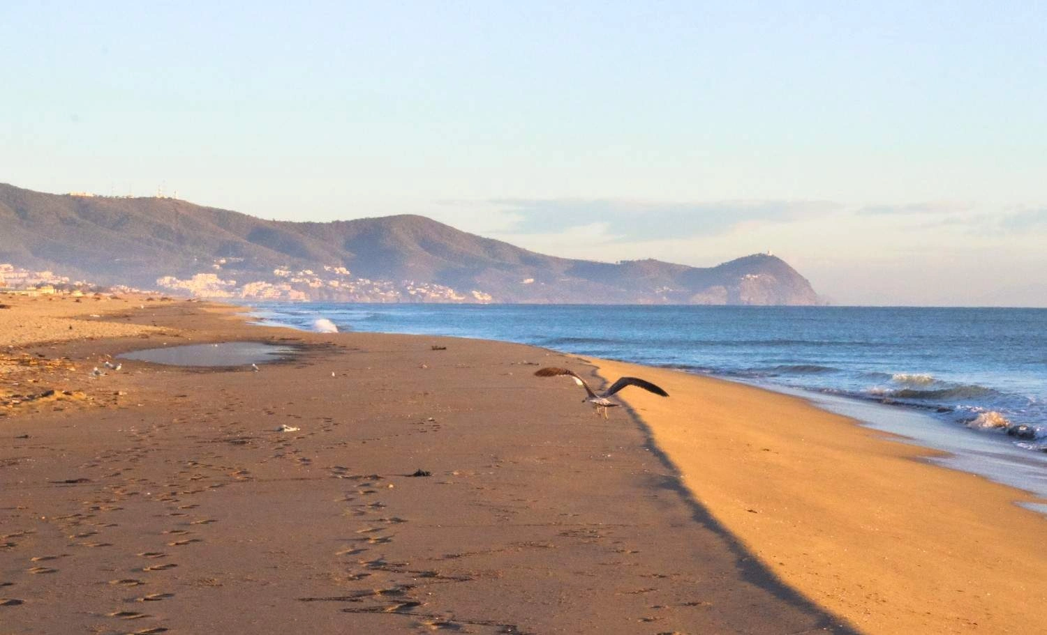 5 Best Beaches in Morocco : That Deserve a Spot on Your Bucket List