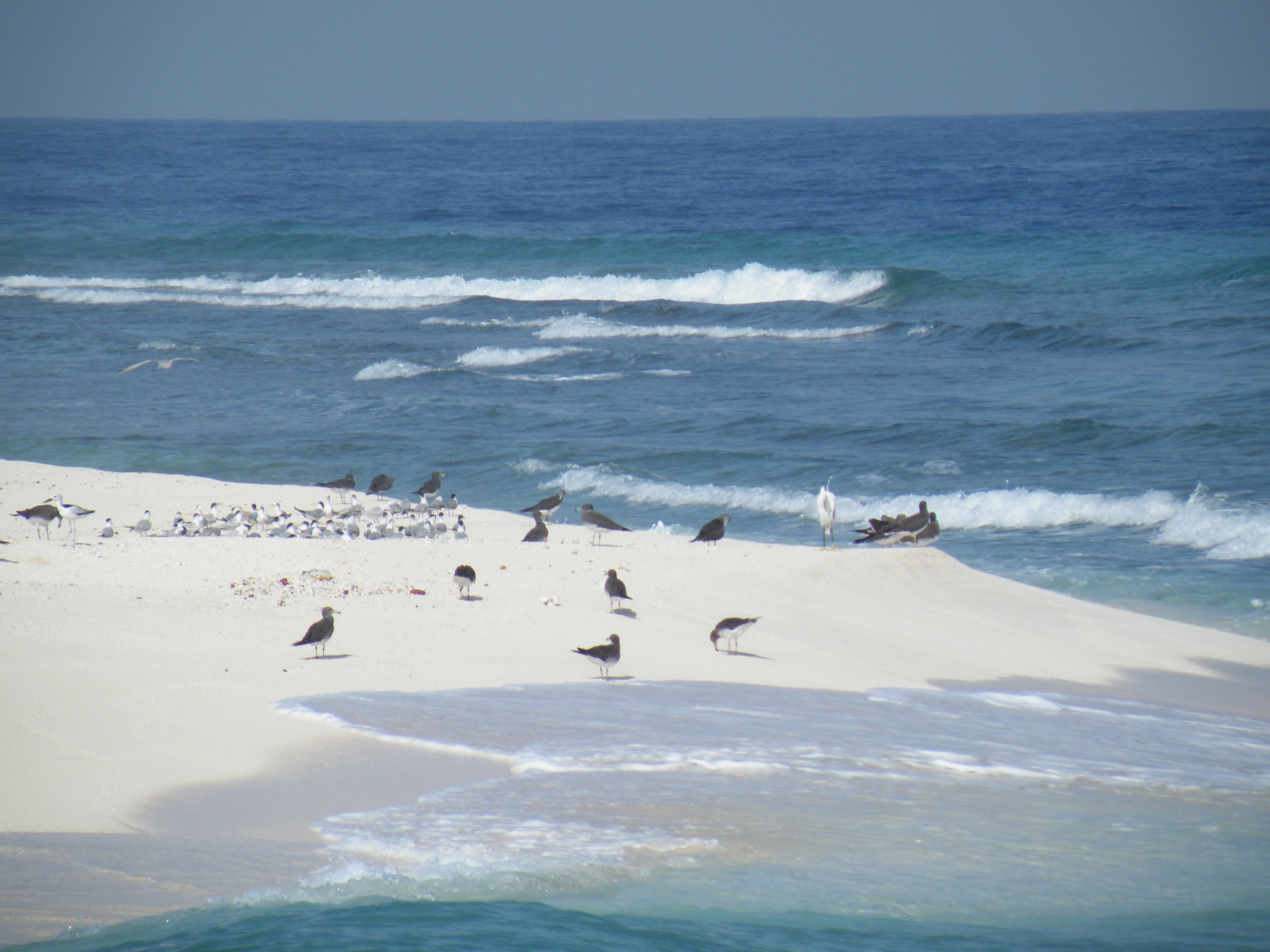 farasan island