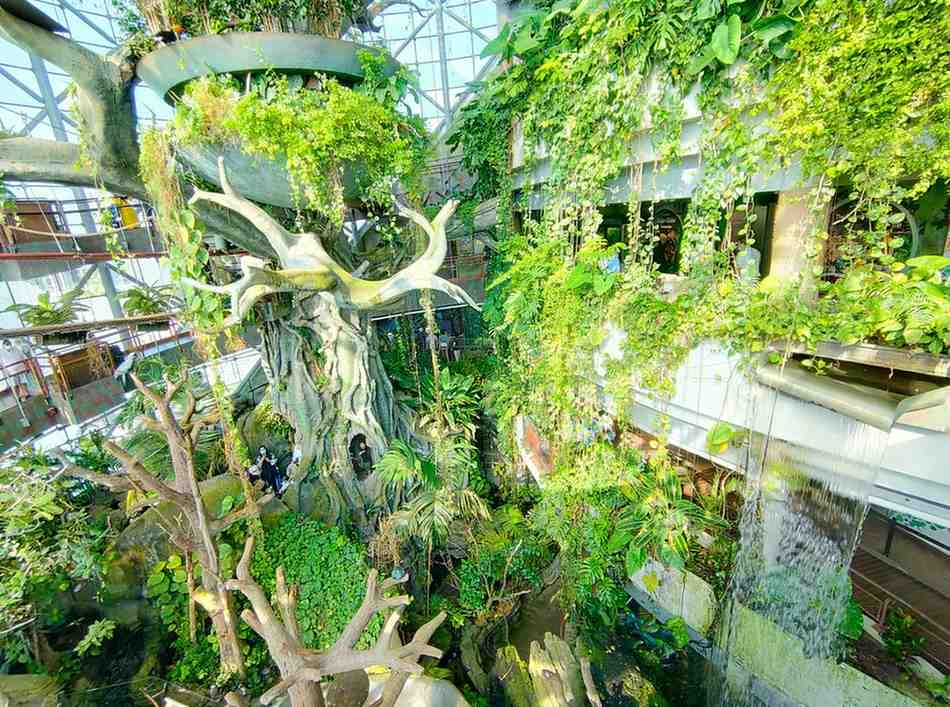 Green Planet