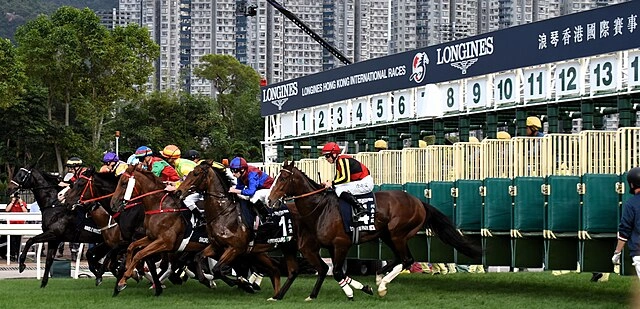 Horse Races