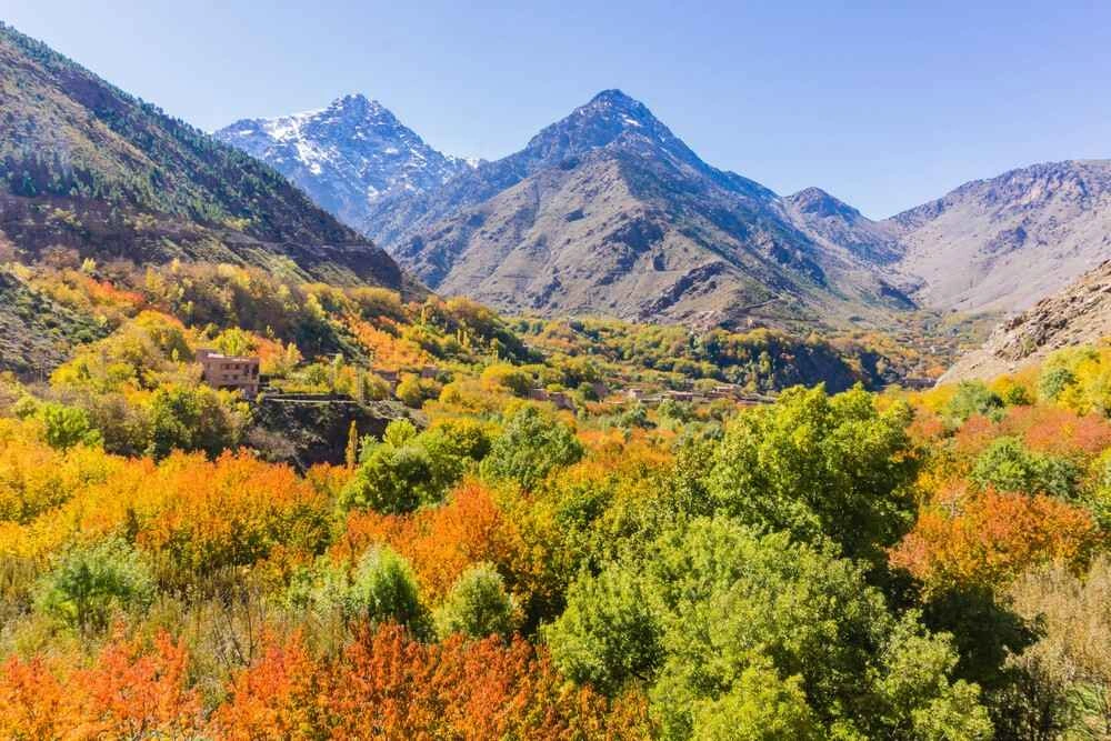 Fall in Morocco