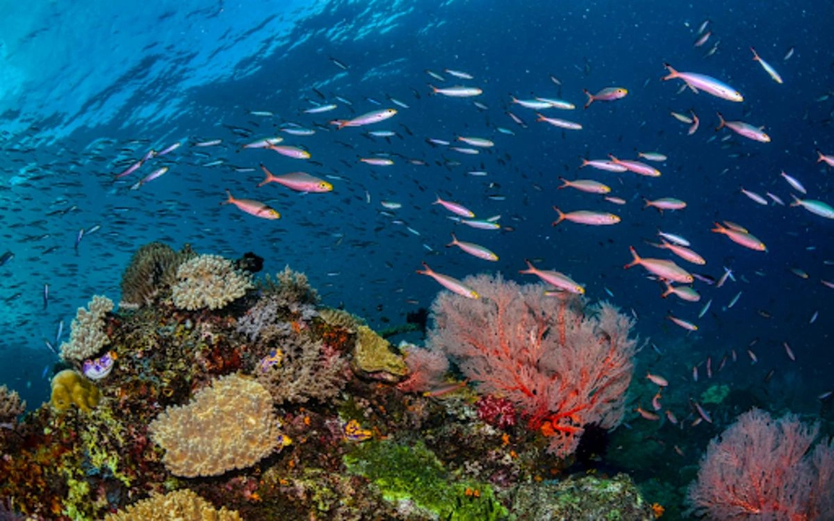 Raja Ampat, Indonesia
