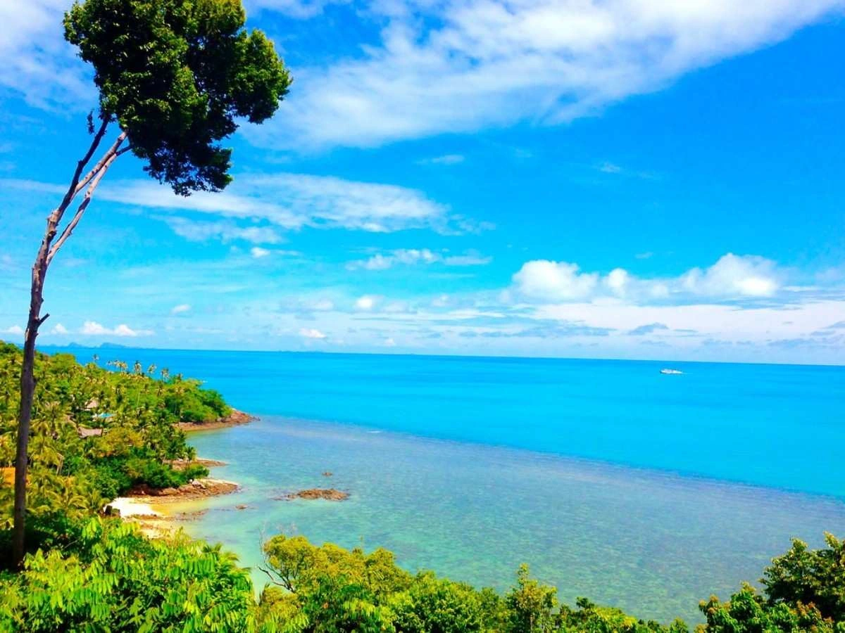 Kohi Samui View