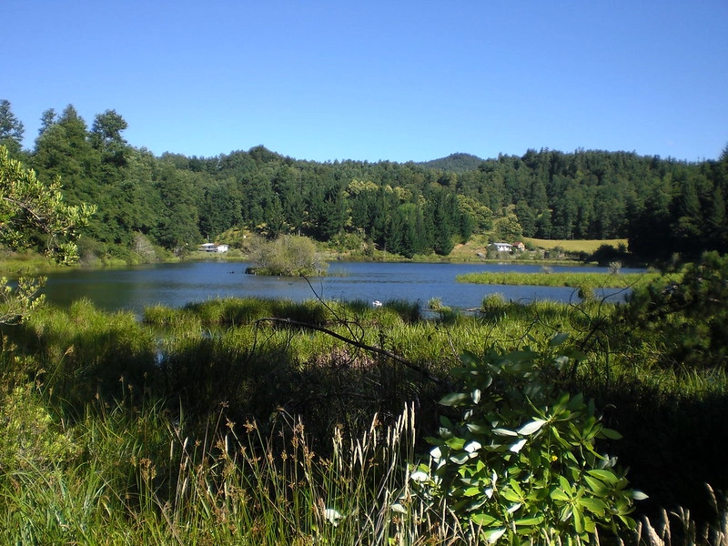 الطبيعة في تشيلي