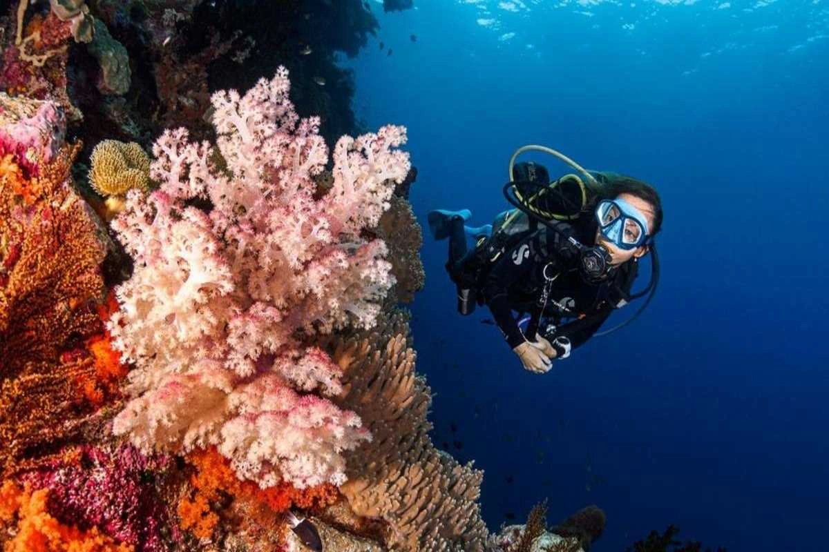 Snorkeling diving