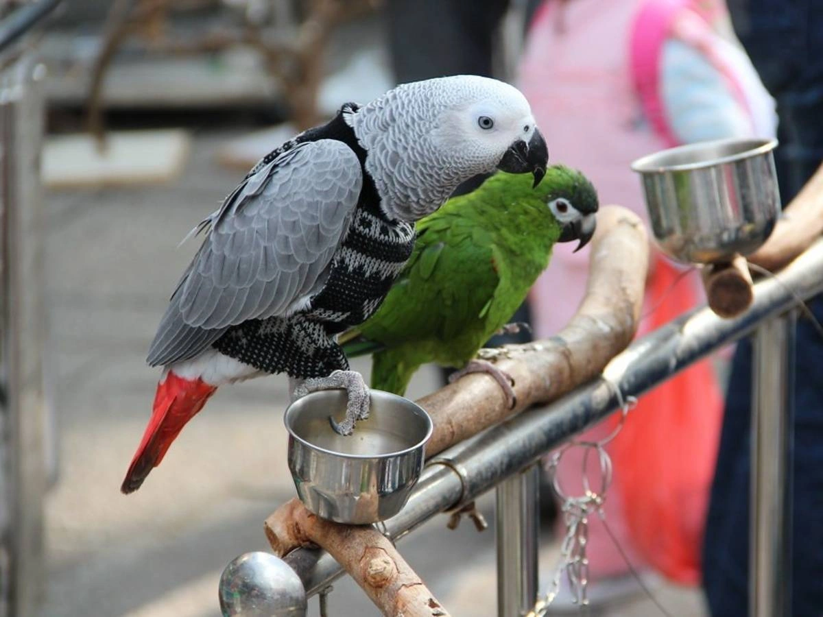 Yuen Po Bird Garden