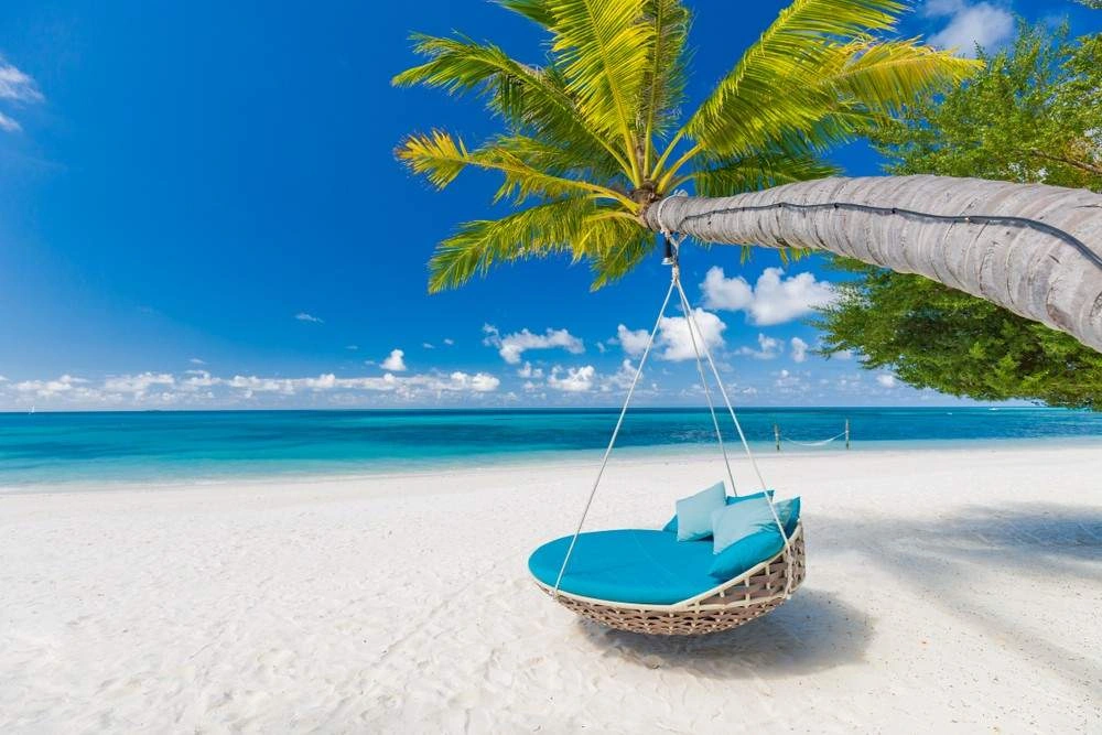 Luxury by the Shore: Best beach resorts in the world