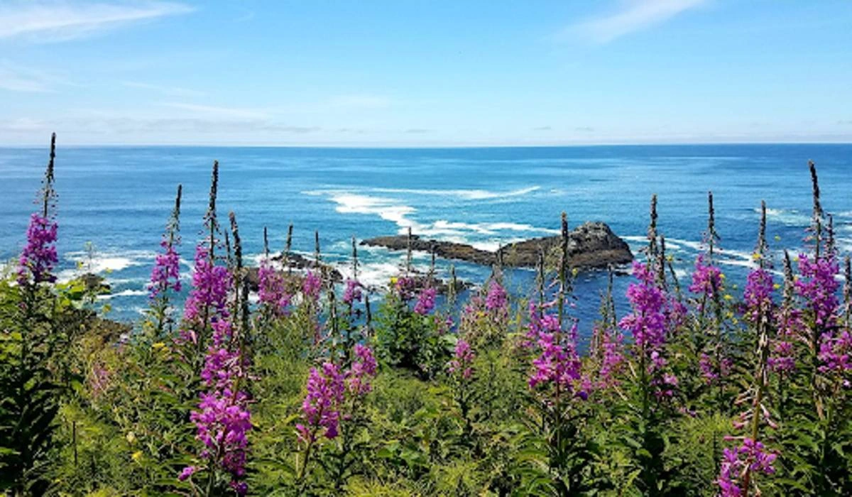 Alaska