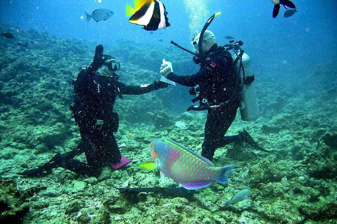 فندق جول لودج المغمور، من أغرب الفنادق حول العالم