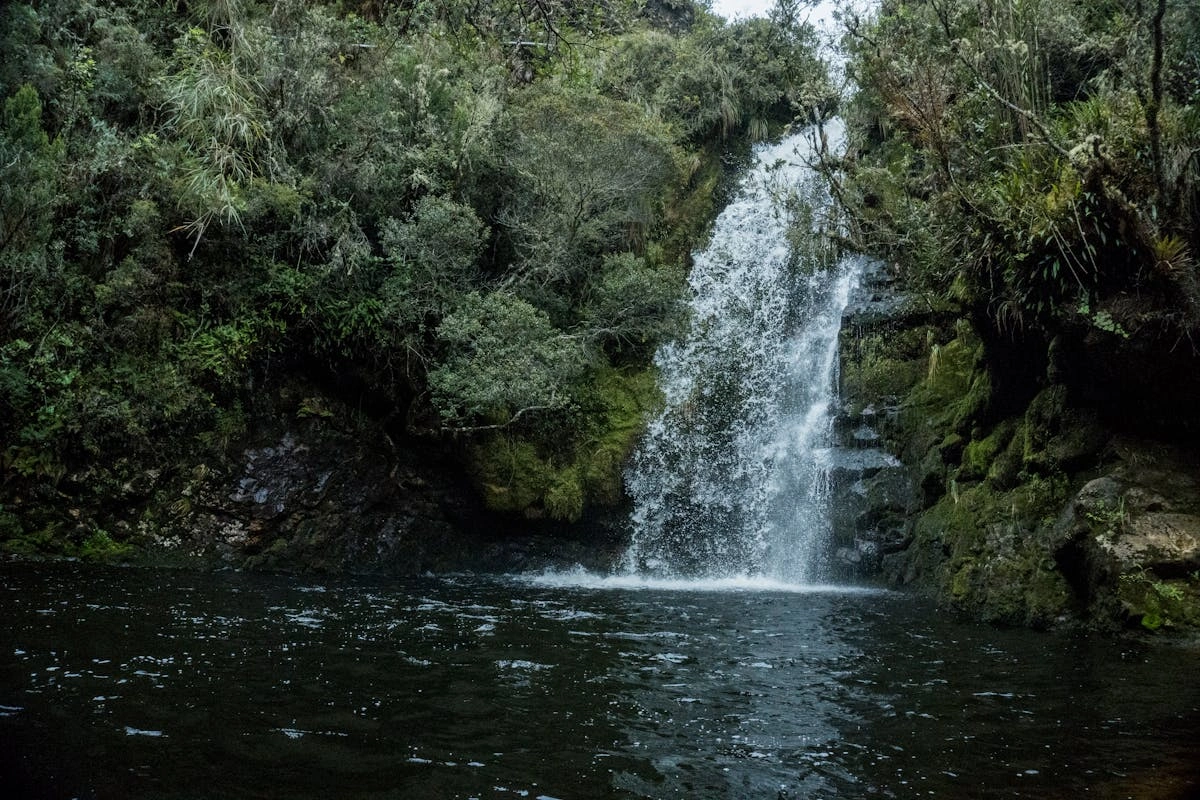 الطبيعة في كولومبيا