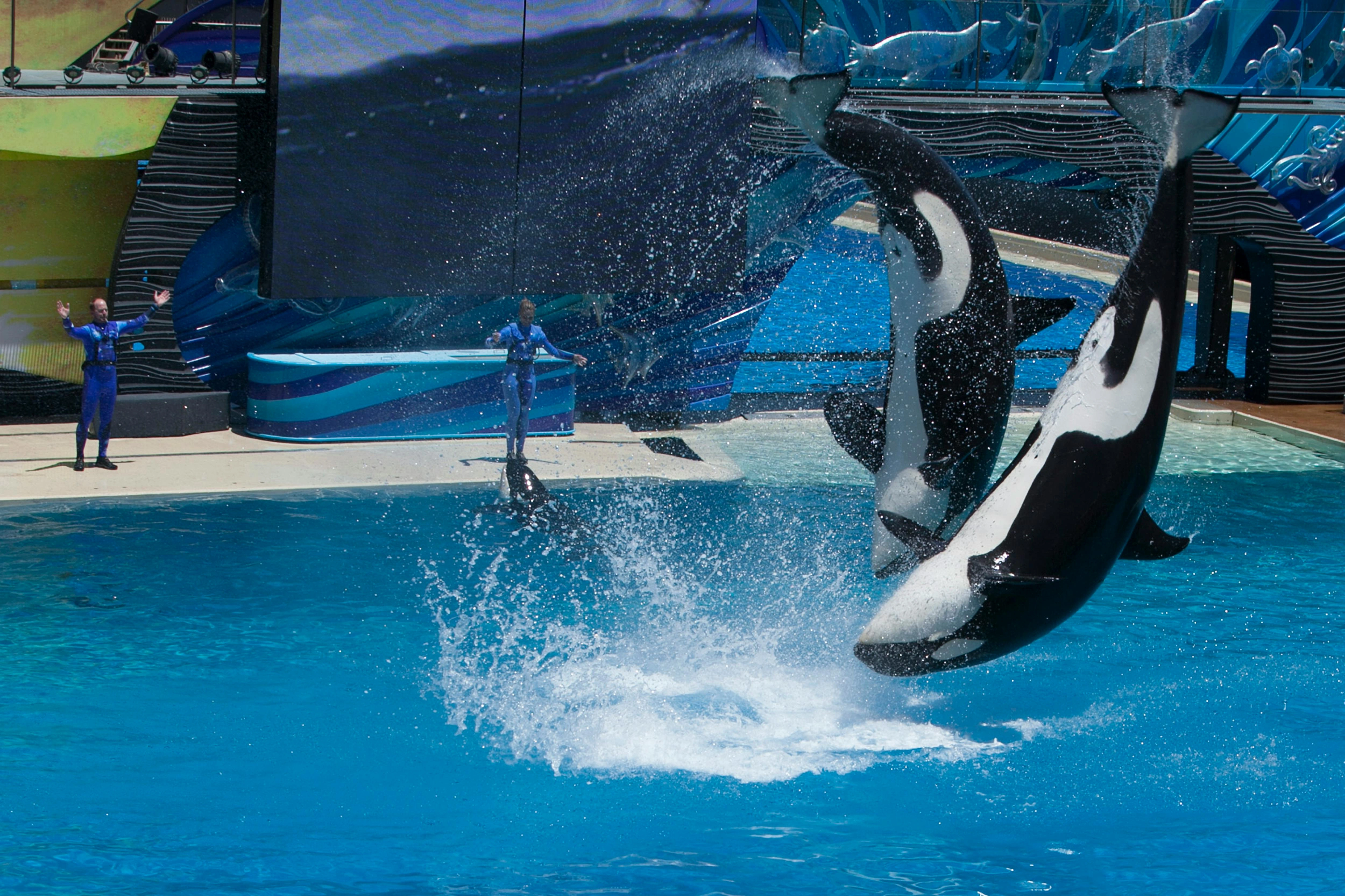 Sea world in Abu Dhabi