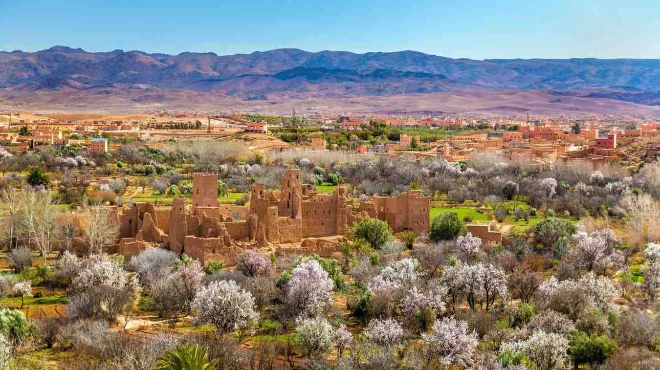 Spring in Morocco