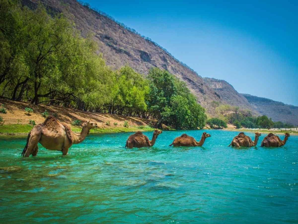 Salalah, Oman