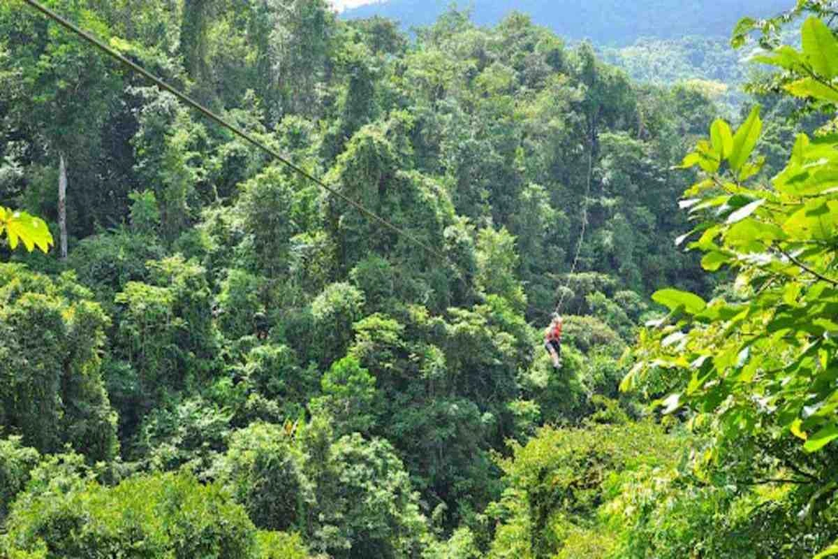 Ziplining