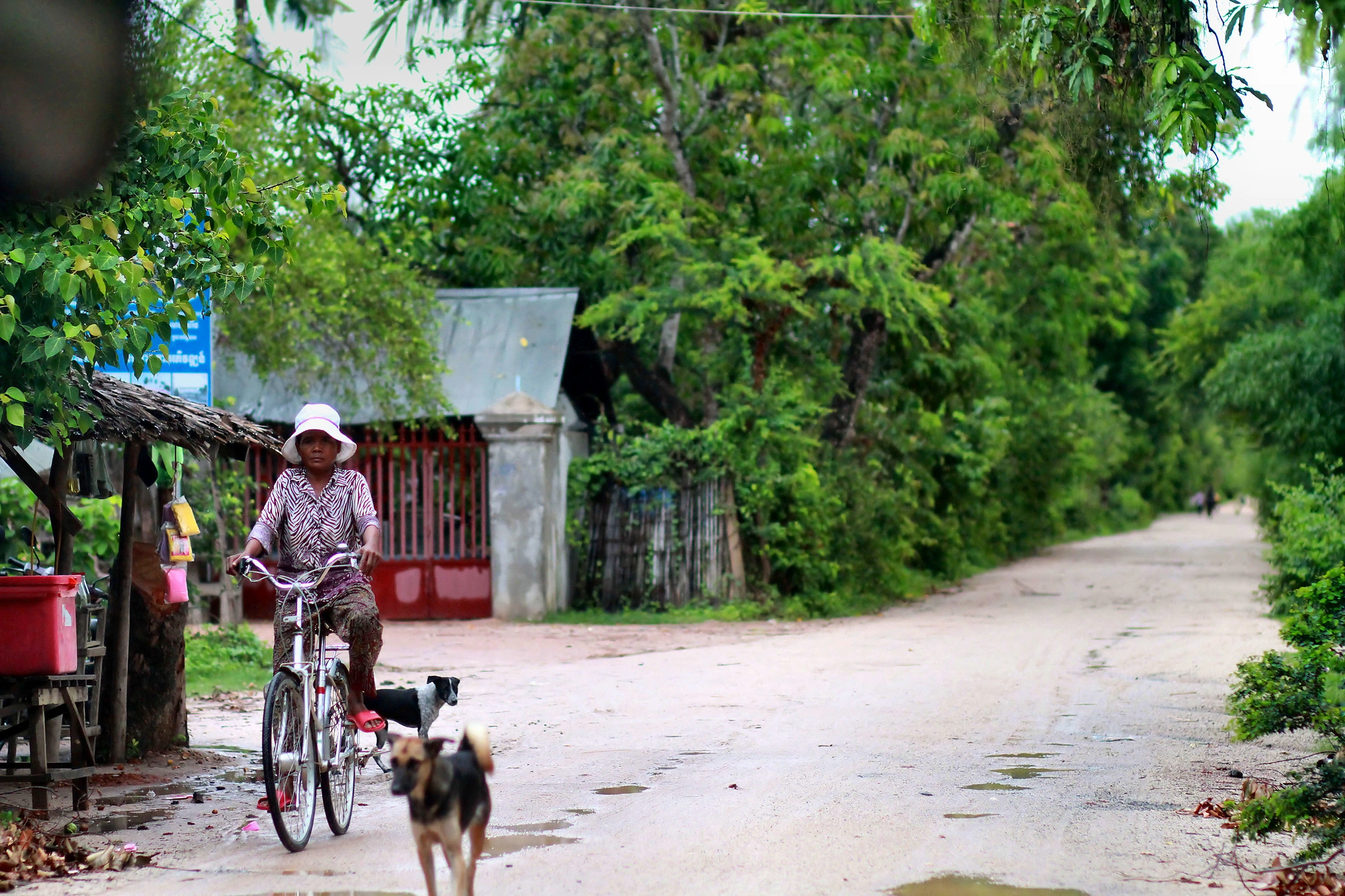مركز بنوم تاماو للحياة البرية