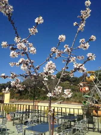 Los Almendros Restaurante