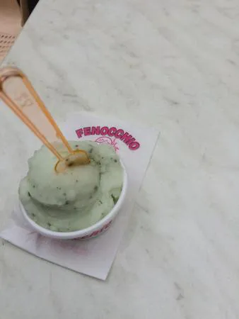 فينوكيو ايس كريم، نيس