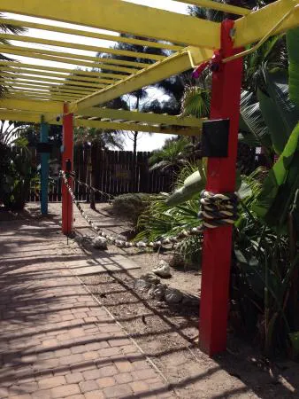 مطعم Angry Marlin وبار Coolwater