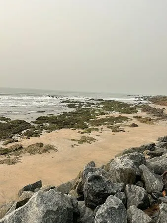 منتجع ديزي ليزي بيتش