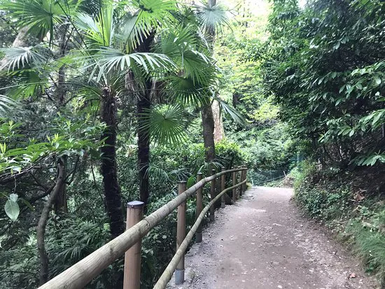 لا كافيتيريا دي فيلا كارلوتا