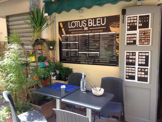 Lotus Bleu