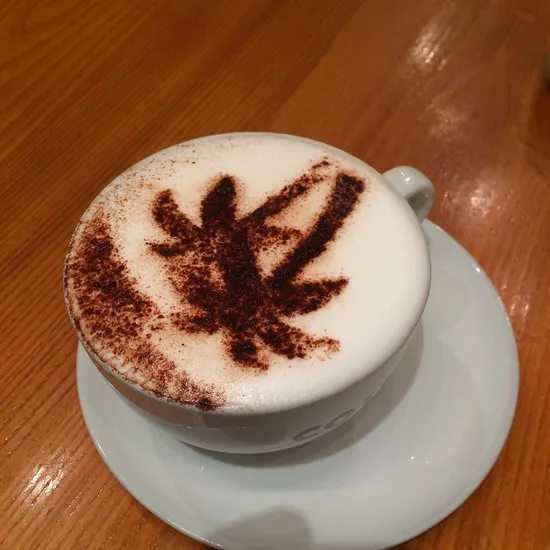 كوستا كوفي، نيس