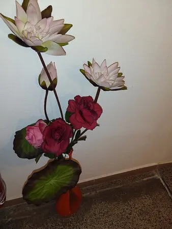 ألبرغو ريستورانتي لافيدو