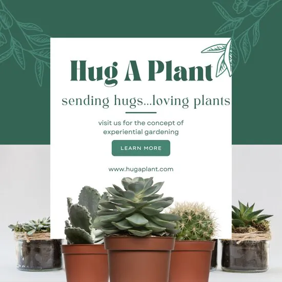 عناق القدح مقهى