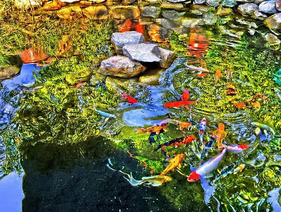 برجي إليف حنيم كوناجي