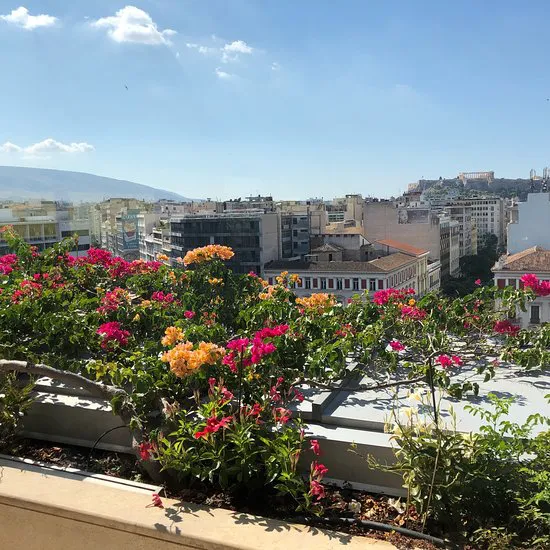 لو كافيه هوندوس سنتر كولوناكي، أثينا