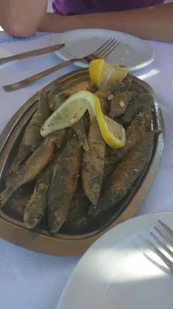 مطعم أجيستري