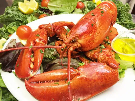 عالم المأكولات البحرية