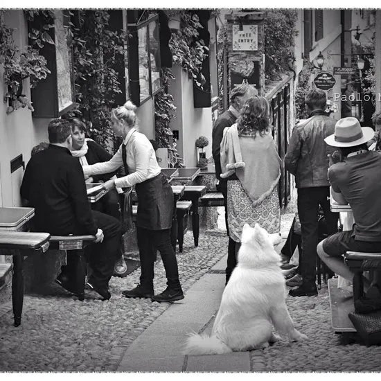 Bstyle بيلاجيو