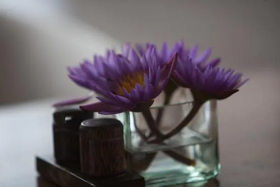 مقهى بارادايس رود