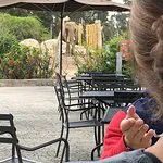 شواية Sabertooth