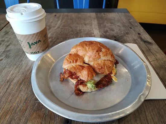 براون الكلب ديلي على كالهون