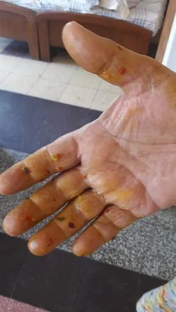 مطعم بانشام بوريوالا، مومباي