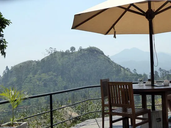 98 فدان مقهى ومطعم