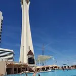 مقهى وبار Elation Pool