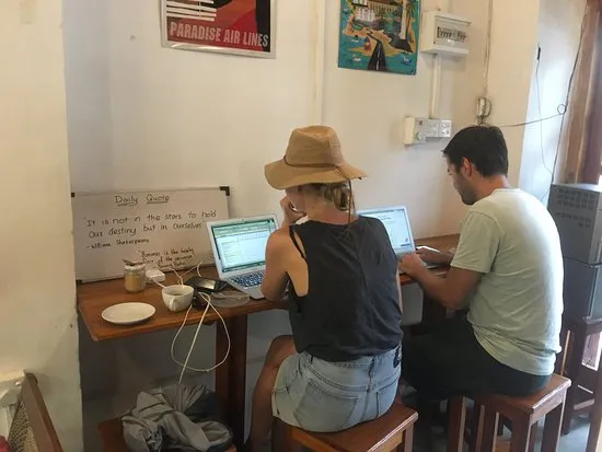 المقهى العضوي