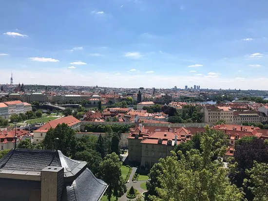 Svatovaclavska vinice