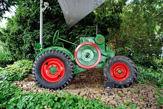 Svatovaclavska vinice