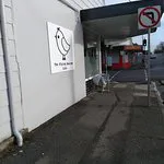 العصفور الطائر