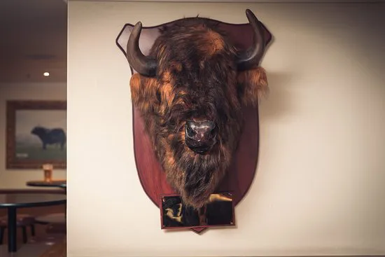 فيك بار & غرفة حمام السباحة