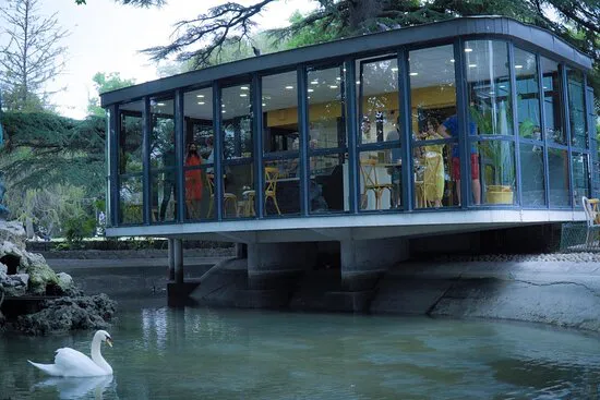 Buvette du Rocher des Doms